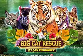 Big Cat Rescue Megaways